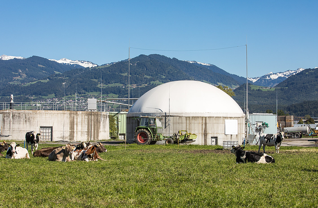 Biogasanlage Allgäuer Außenansicht